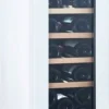 Шкаф винный CELLARPRIVATE CP020-1TWH
