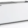 Ларь морозильный TEFCOLD IC500SC